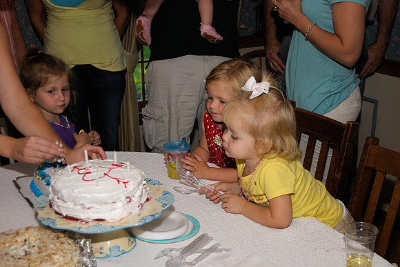 Shea & Chellman Party - 2008