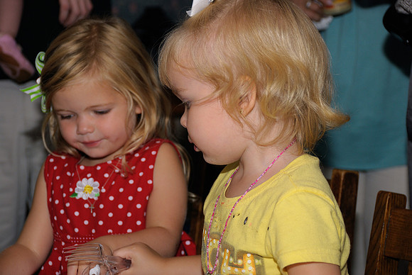 Shea & Chellman Party - 2008