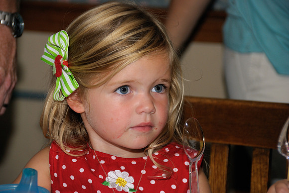 Shea & Chellman Party - 2008